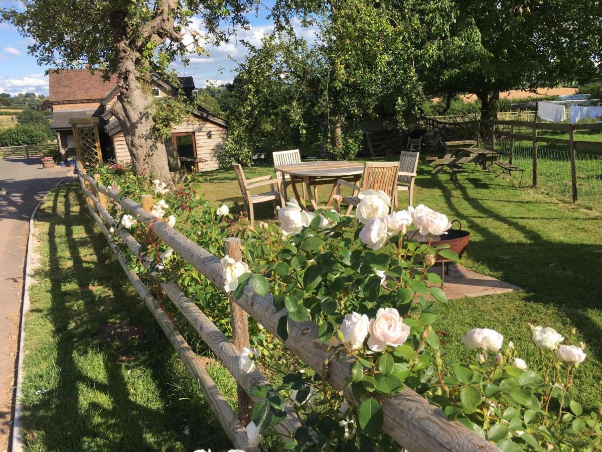 Grove Farm B&B Leominster Exteriör bild