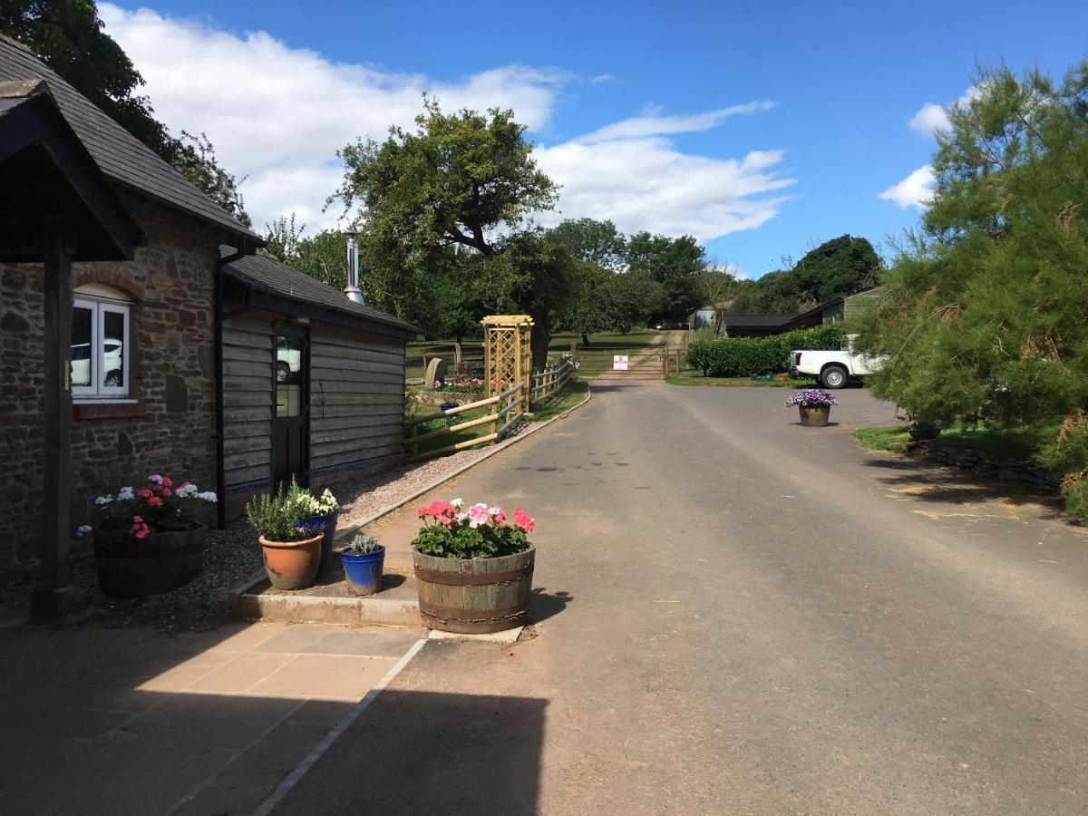 Grove Farm B&B Leominster Exteriör bild